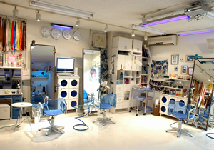 ���e���E����