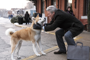 HACHI�̖�